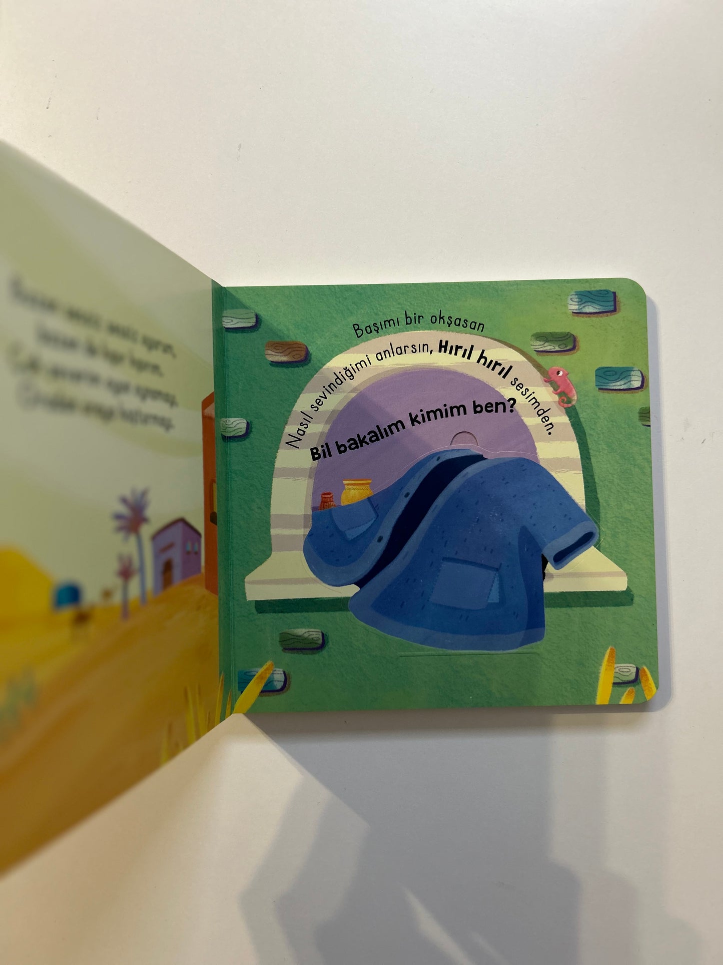 Acaba Kim? Peygamberimin Sevimli Dostları (Pencereli Kitap)