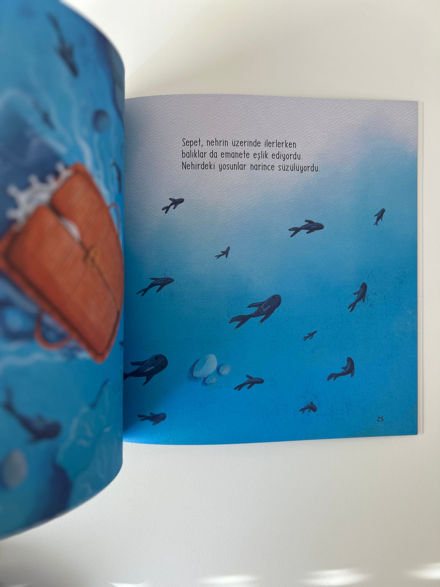 Sepette Bir Yolcu - Peygamber Öyküsü