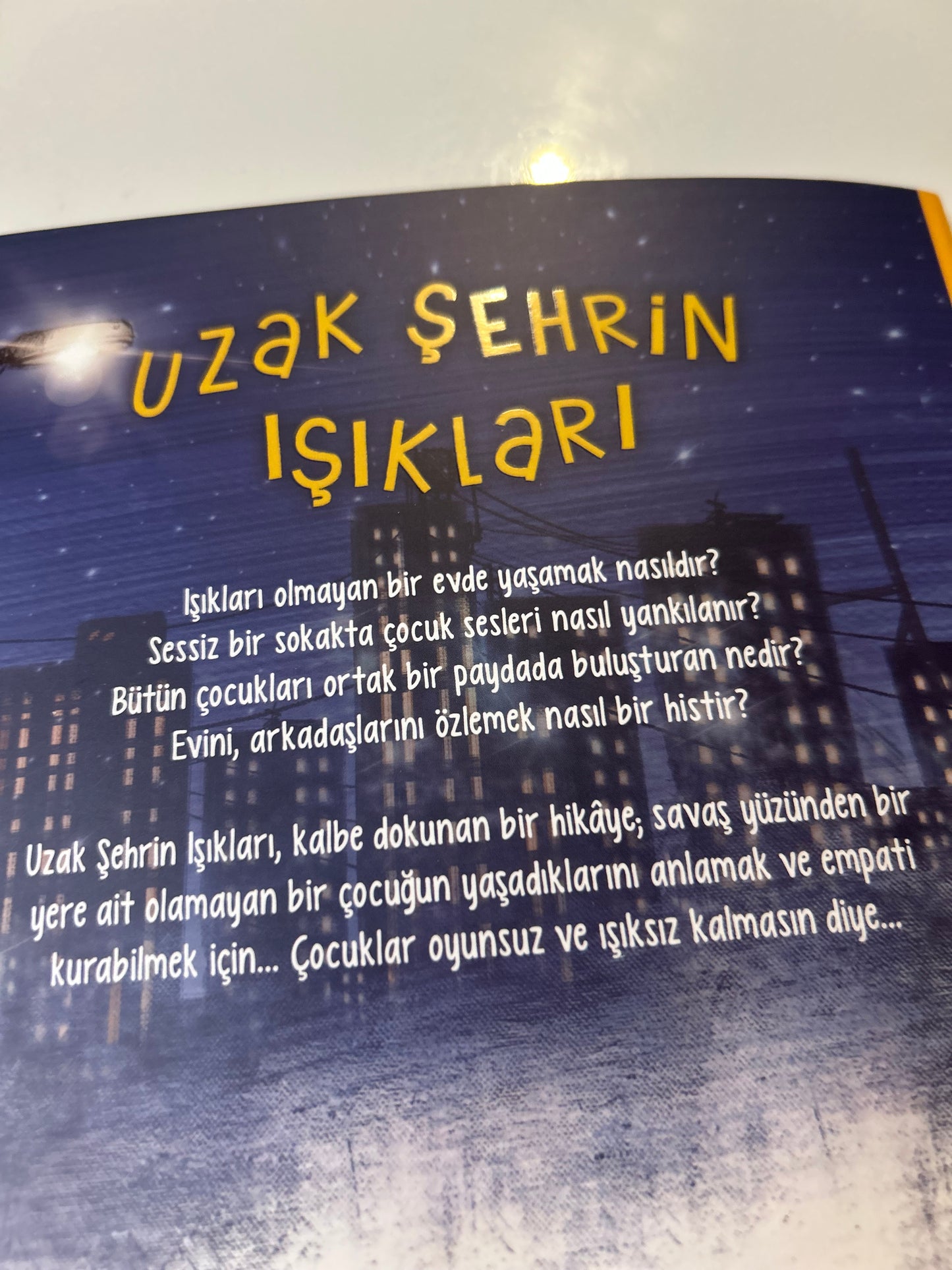 Uzak Şehrin Işıkları
