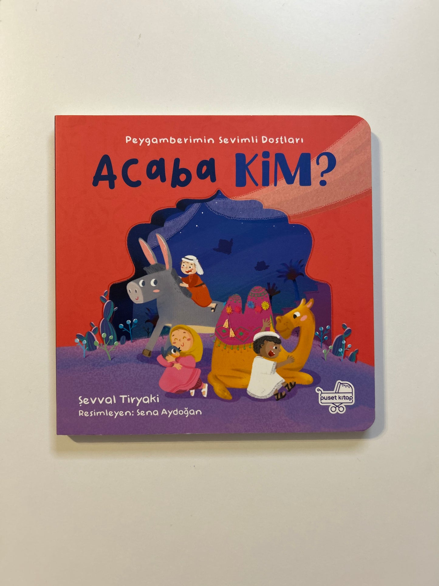 Acaba Kim? Peygamberimin Sevimli Dostları (Pencereli Kitap)