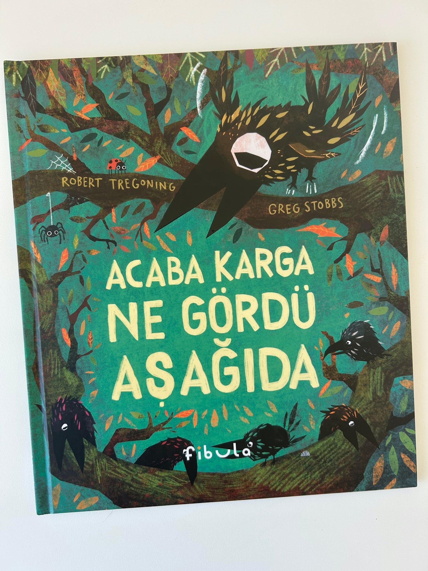 Acaba Karga Ne Gördü Aşağıda?