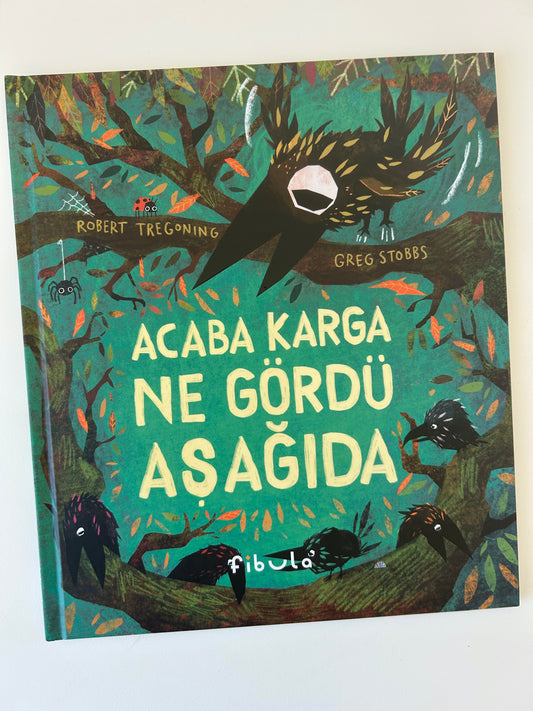 Acaba Karga Ne Gördü Aşağıda?